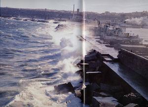 ORAN - PORT MODERNE (16)